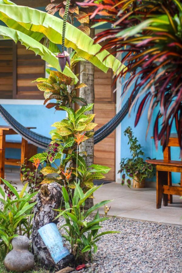 Back To The Beach Hostel - Pipa Praia de Pipa ภายนอก รูปภาพ