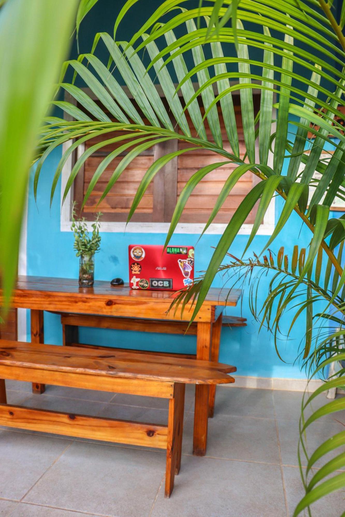 Back To The Beach Hostel - Pipa Praia de Pipa ภายนอก รูปภาพ